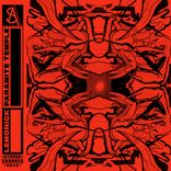 Artwork für "Paramite Temple"