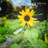 Artwork for "For Eva"