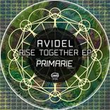 Artwork voor "Rise Together"