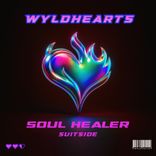 Artwork for "Soul Healer"