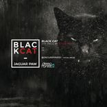 Artwork for "Black Cat"