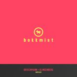 Artwork for "Bumzack"