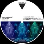 Artwork for "Syntropy"