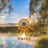 Artwork voor "Herbs"