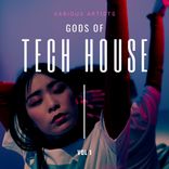 Artwork for "Gods of Tech House, Vol. 1"