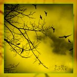 Artwork for "Soar"