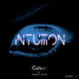Artwork for "Intuition"