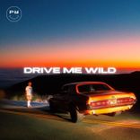 Artwork für "Drive Me Wild"