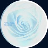 Artwork für "Translation EP"