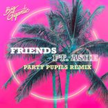 Portada para "Friends (Party Pupils Remix)"