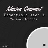Artwork for "Musica Gourmet Essentials Year 1"