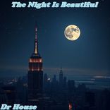 Artwork voor "The Night Is Beautiful"