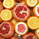 Artwork for "Barcarena"