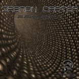 Artwork for "Panorax"