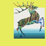 Artwork voor "Katnic The Great"