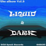 Artwork voor "Liquid & Dark Vol. 3"