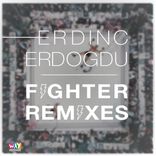Artwork voor "Fighter (Remixes)"
