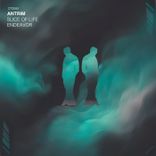 Artwork voor "Slice of Life"