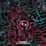 Portada para "I Like Your Shirt"