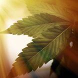 Artwork for "Deep Meditation"