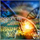 Artwork for "Nirvana Shatakam"