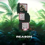 Artwork for "Reason"