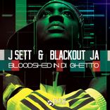 Artwork for "Bloodshed In Di Ghetto"