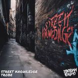 Artwork for "Street Knowledge"