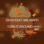 Artwork for "Turn It Around"