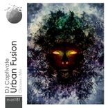 Artwork for "Urban Fusion"