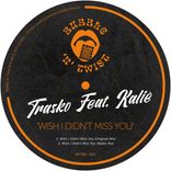 Artwork voor "Wish I Didn't Miss You"