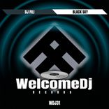 Artwork für "Black Sky"