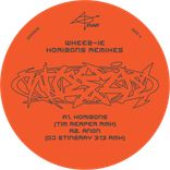 Artwork for "Anon (DJ Stingray 313 Rmx)"