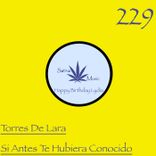 Si Antes Te Hubiera Conocido