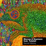 Artwork for "Secret History"