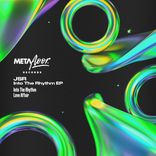 Artwork voor "Into The Rhythm"