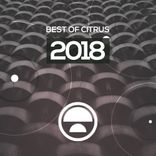 Artwork for "Best Of Citrus 2018"