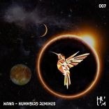 Artwork for "Hummbird Remixes"