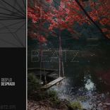 Artwork voor "Desprado"