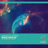 Artwork voor "Space Walk"