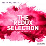 Artwork voor "Redux Selection, Vol. 4: 2020"
