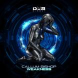 Artwork for "Weakness"