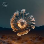 Portada para "Black Drift"