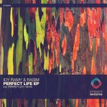 Artwork voor "Perfect Life"