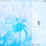 Artwork for "Lost in Dreams"