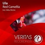 Artwork for "Red Camellia"