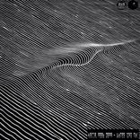 Portada para "Widnes"