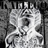 Artwork for "Kaelego"