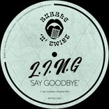 Artwork for "Say Goodbye"