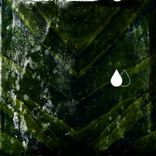 Artwork voor "Propie"